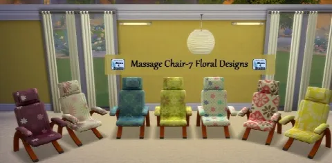 Massage Chair and Table Set