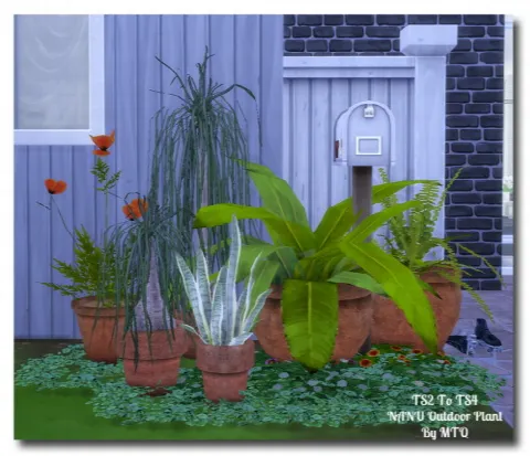 TS2 To TS4 Outdoor Plants