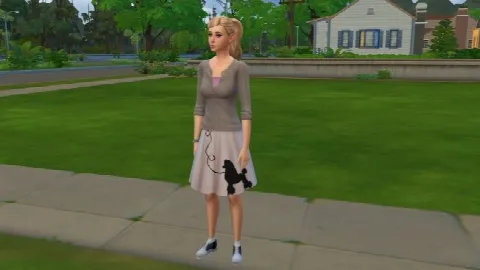 50’s Style Poodle Skirt