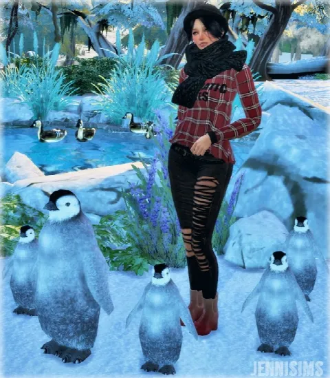 Penguin Decorative