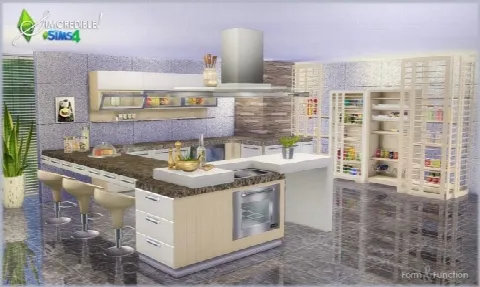 FORM AND FUNCTION kitchen (DONATION)