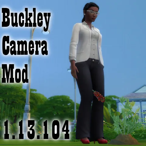Buckley camera mod updated for 1.13.104
