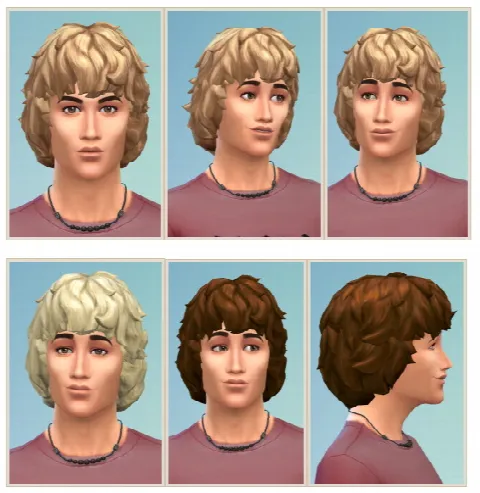 Curly Mop Hair for Men