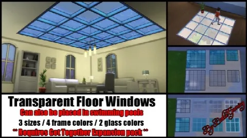 Transparent Floor Windows