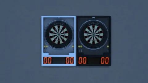 Contemporary/Modernized Dartboard