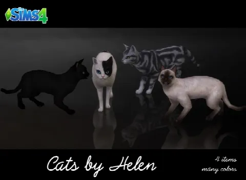 Cats (4 items)