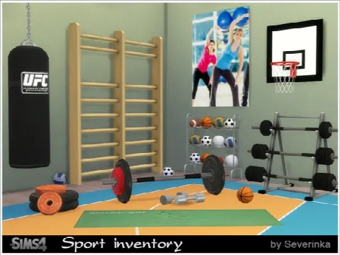 Sport inventory set