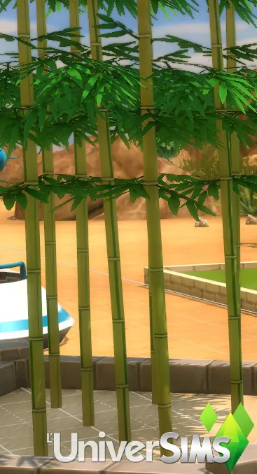 Ornamental bamboo