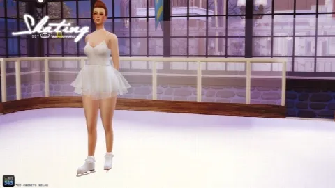 Rollers & Ice skates + Decorative Rinks & Skates