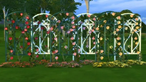 2 to 4 Garden Trellis