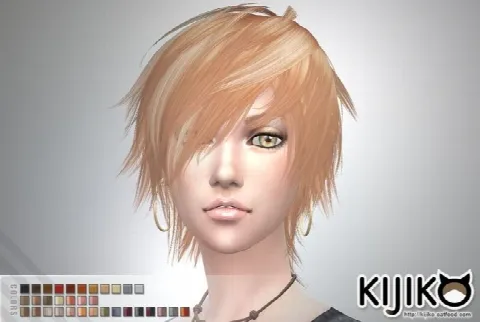 Toyger Kitten TS3 to TS4 conversion (for Female)