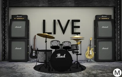 3t4 Pearl Roadshow RS525SC/C91 Drum Kit