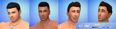 The Major Facial Hair V4.0