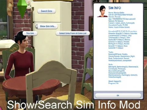 Show/Search Sim Info Mod