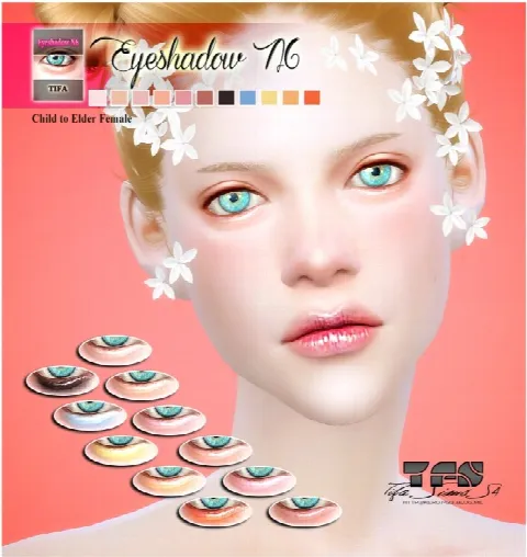 Eyeshadow N6 F