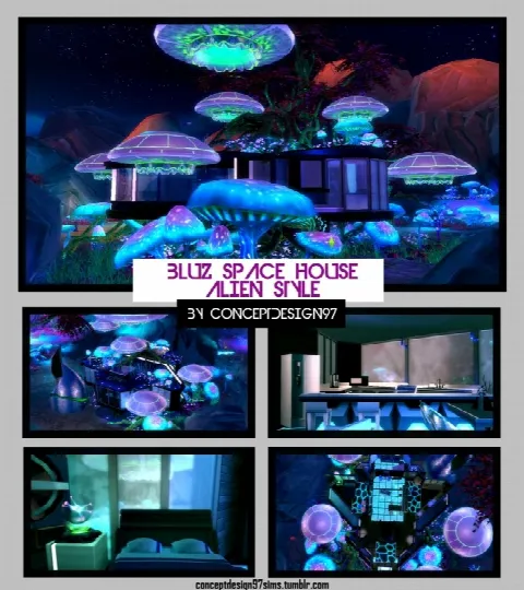 BLUZ SPACE Alien House