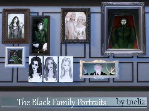The Black Family Portraits
