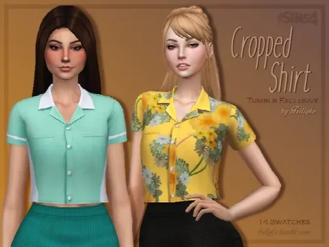 Cropped Shirt