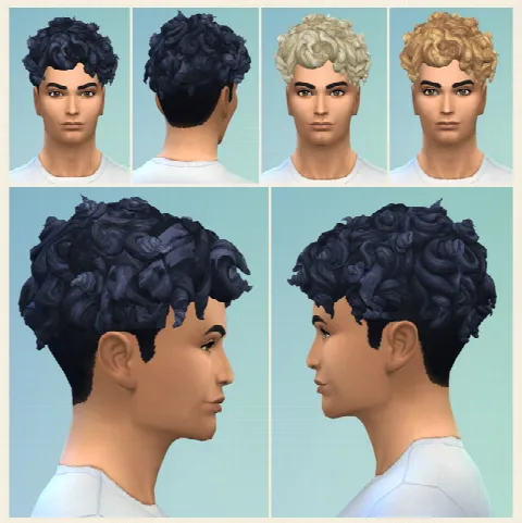 Curls on Top male