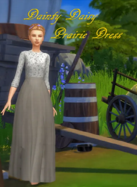 Casual Prairie Dress