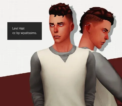 LEVI HAIR M