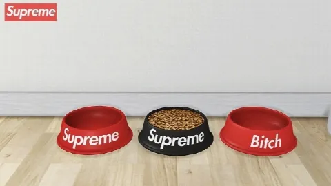 Supreme Dog Bowl