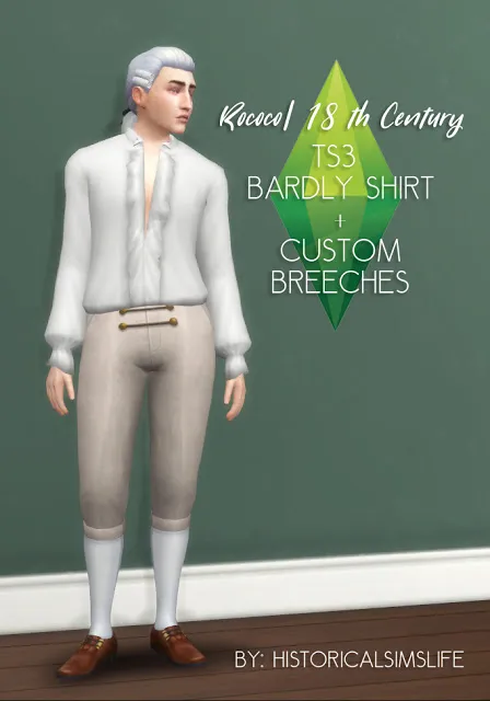 18th Century Rococo Bardly Shirt and Breeches
