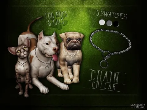 Chain collar for pups and cats