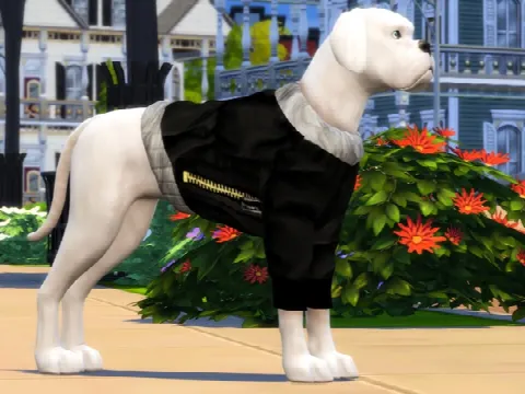 Large Dog Parka Coats