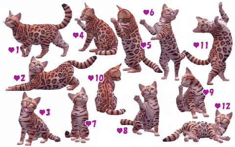 Cat & Kitten Pose
