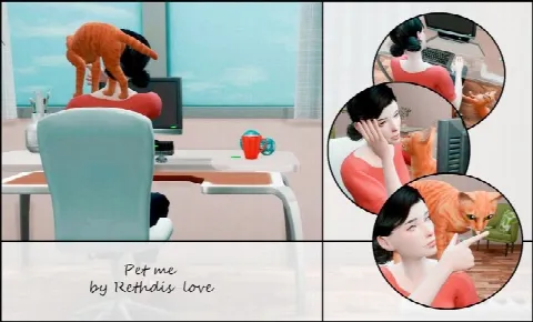 Pet me poses