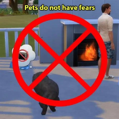 Pets do not have fears