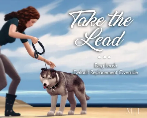 Take the Lead | Dog Leash Override