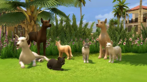 Realistic Dog and Cat Statues