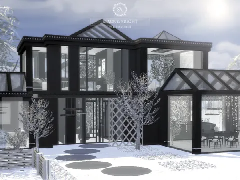 Black & Bright house