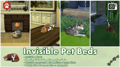 Invisible Pet Beds
