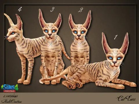 Cat Ears