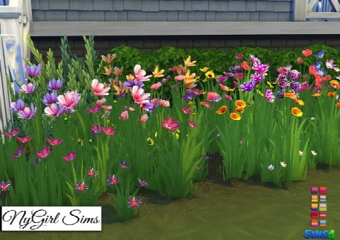 Wildflower Assortment