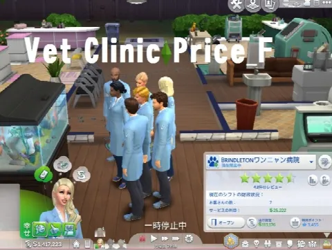 Vet Clinic Price F