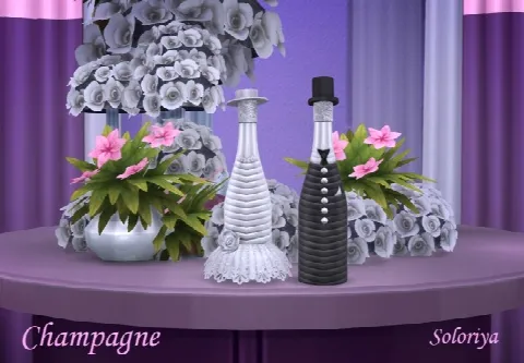 Champagne set (P)