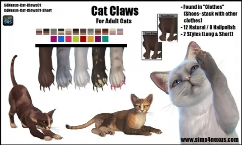 Cat Claws