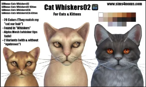 Cat Whiskers 02