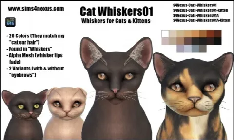 Cat Whiskers 01
