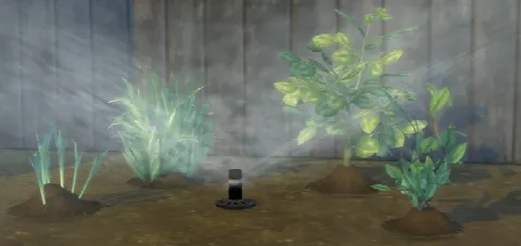 Set It and Forget It Functional Garden Sprinkler