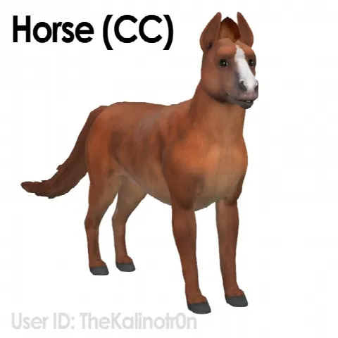 Horse, Zebra and Donkey
