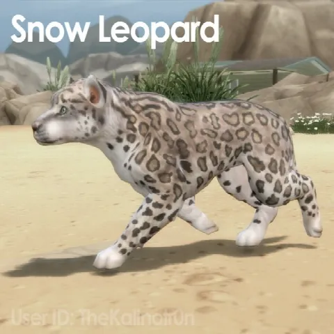 Snow Leopard, Leopard, Fallow Deer, Deer and White Tiger