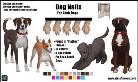 Dog Nails