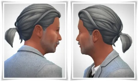 Tiny Ponytail male