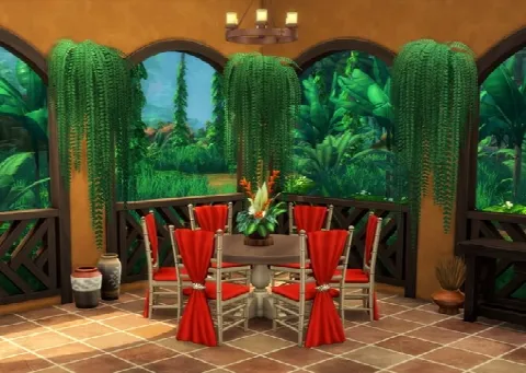 Indoor Hanging Ferns