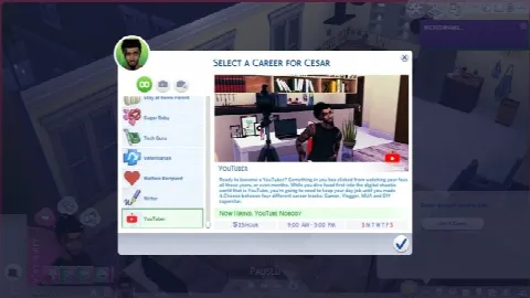 YouTuber Career